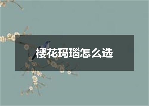 樱花玛瑙怎么选