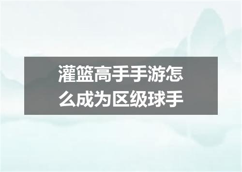 灌篮高手手游怎么成为区级球手