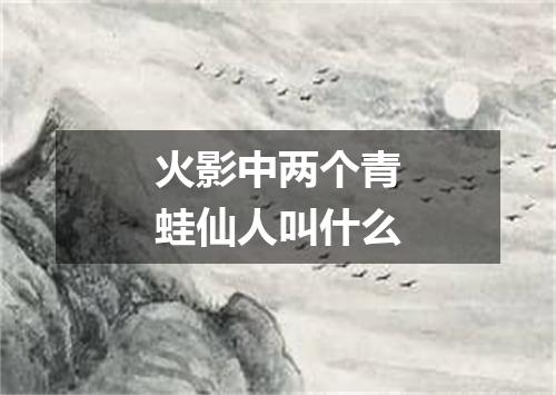 火影中两个青蛙仙人叫什么