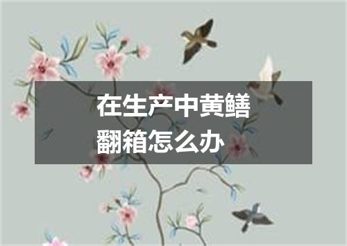 在生产中黄鳝翻箱怎么办