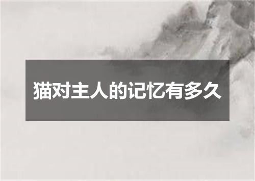 猫对主人的记忆有多久