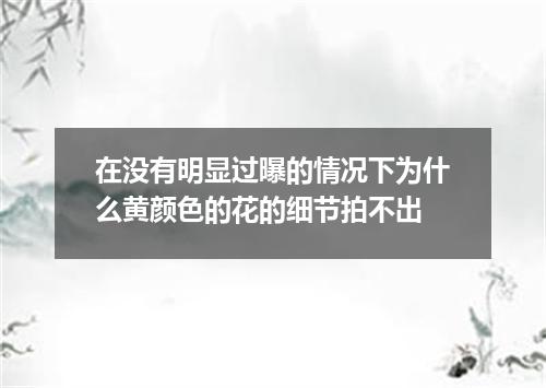 在没有明显过曝的情况下为什么黄颜色的花的细节拍不出