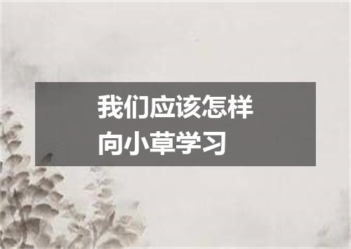 我们应该怎样向小草学习