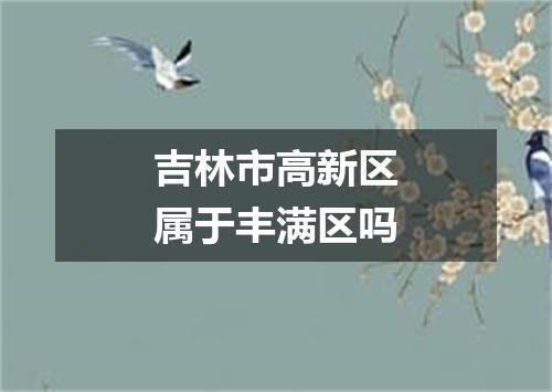 吉林市高新区属于丰满区吗