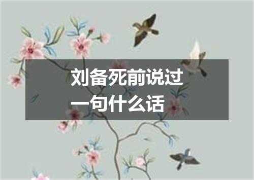 刘备死前说过一句什么话