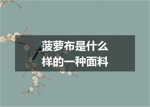 菠萝布是什么样的一种面料
