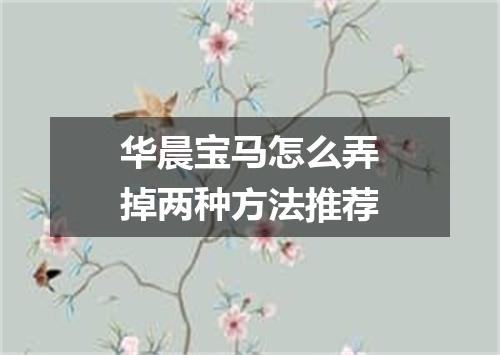 华晨宝马怎么弄掉两种方法推荐