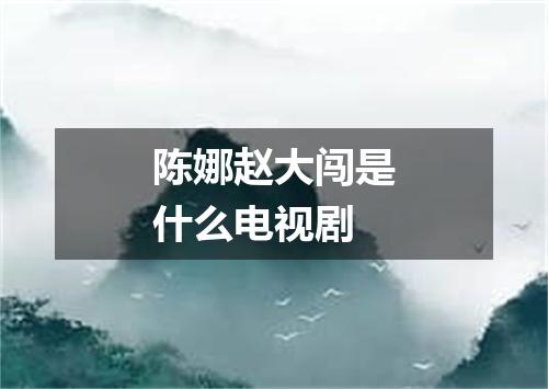 陈娜赵大闯是什么电视剧