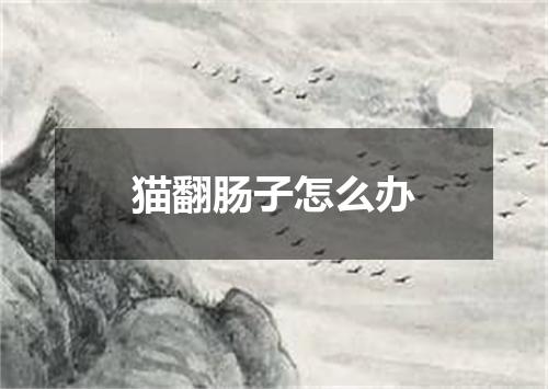 猫翻肠子怎么办