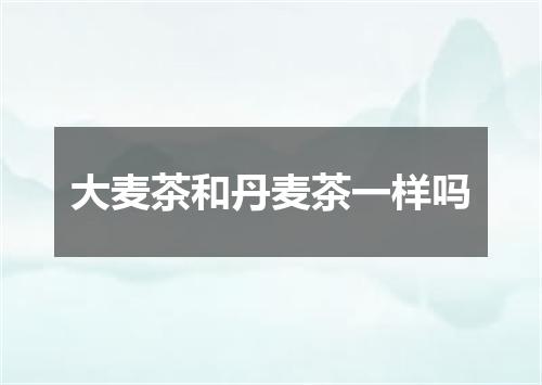大麦茶和丹麦茶一样吗