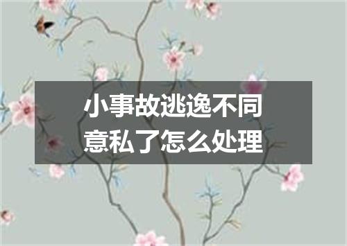 小事故逃逸不同意私了怎么处理