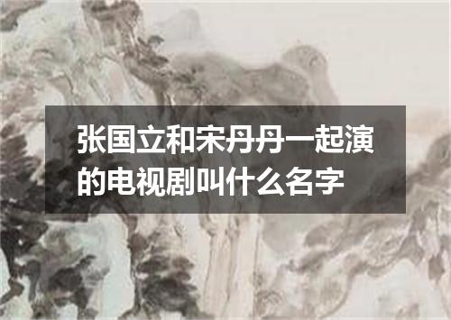 张国立和宋丹丹一起演的电视剧叫什么名字