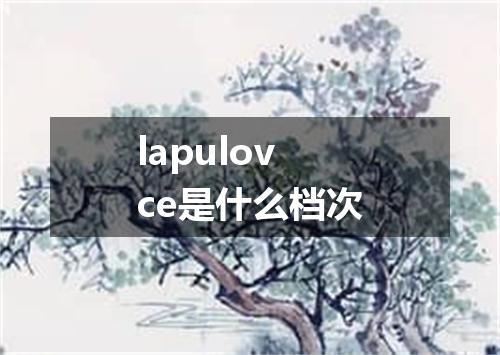 lapulovce是什么档次