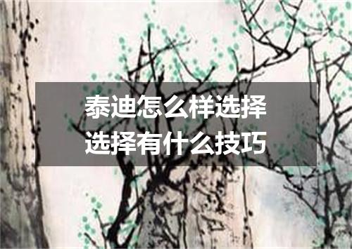 泰迪怎么样选择选择有什么技巧