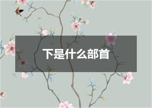 下是什么部首