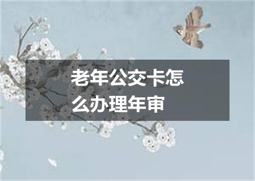 老年公交卡怎么办理年审