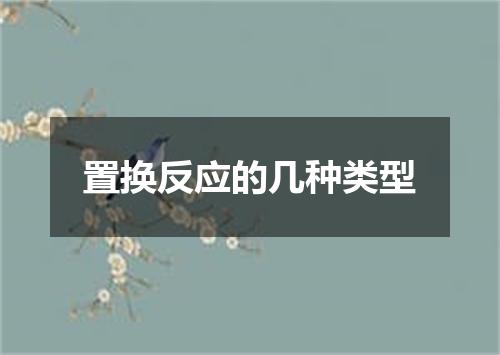 置换反应的几种类型