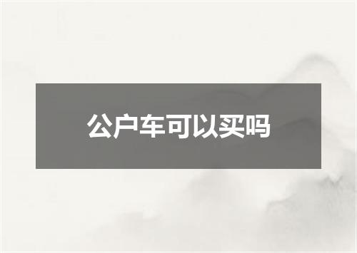 公户车可以买吗
