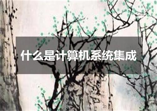 什么是计算机系统集成