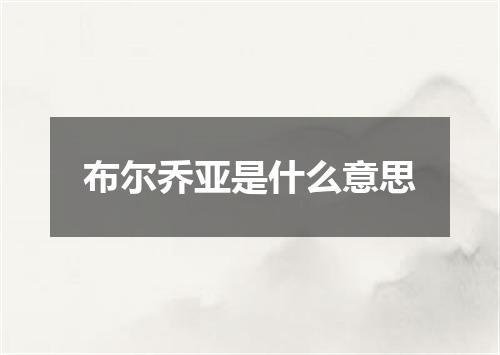 布尔乔亚是什么意思