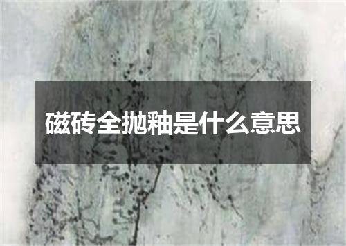 磁砖全抛釉是什么意思