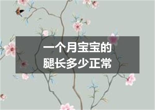 一个月宝宝的腿长多少正常