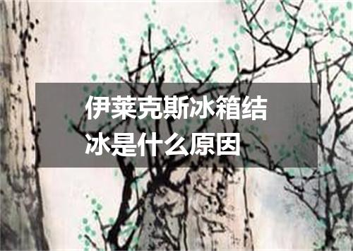 伊莱克斯冰箱结冰是什么原因
