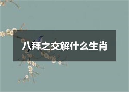 八拜之交解什么生肖