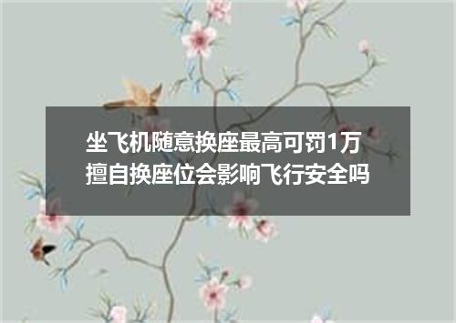 坐飞机随意换座最高可罚1万擅自换座位会影响飞行安全吗