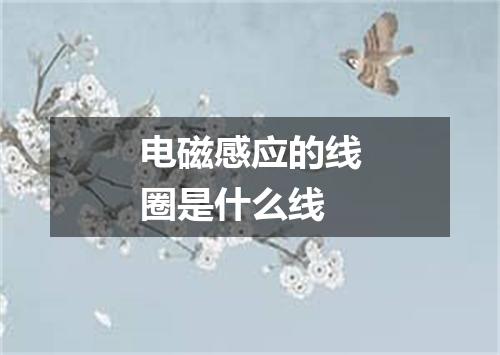 电磁感应的线圈是什么线