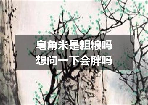 皂角米是粗粮吗想问一下会胖吗