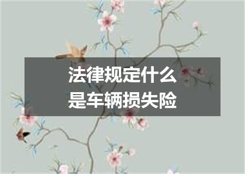 法律规定什么是车辆损失险