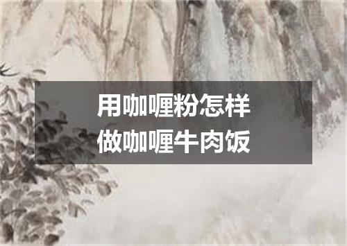 用咖喱粉怎样做咖喱牛肉饭