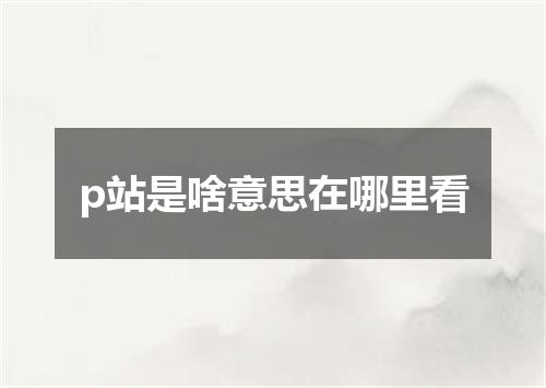 p站是啥意思在哪里看