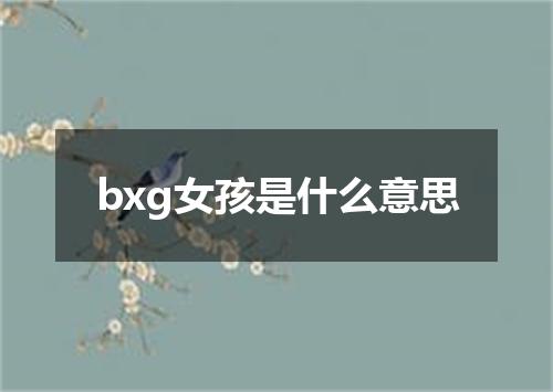 bxg女孩是什么意思