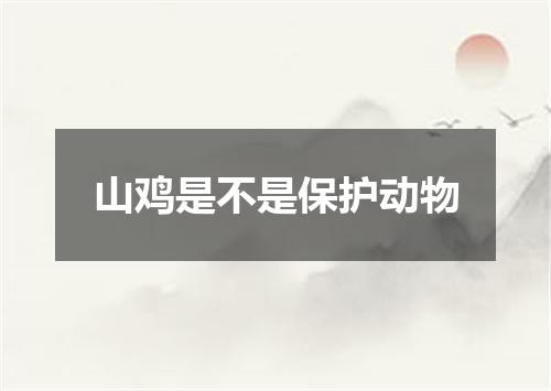 山鸡是不是保护动物