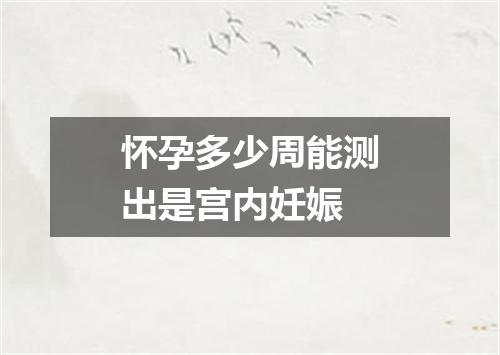 怀孕多少周能测出是宫内妊娠