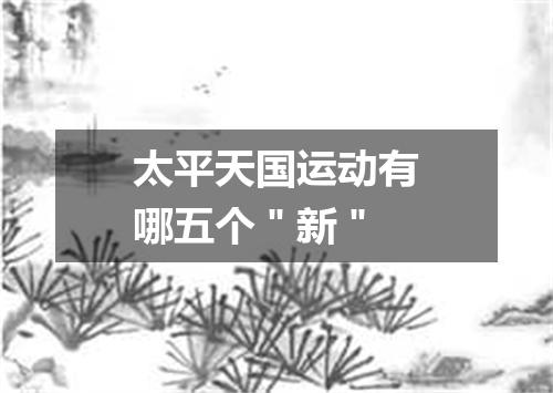 太平天国运动有哪五个＂新＂