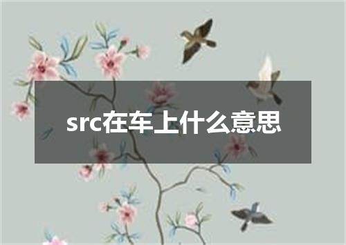 src在车上什么意思