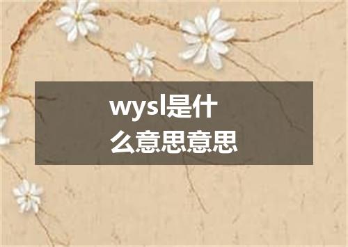 wysl是什么意思意思