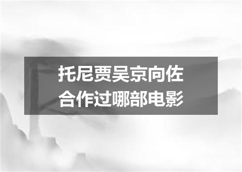 托尼贾吴京向佐合作过哪部电影