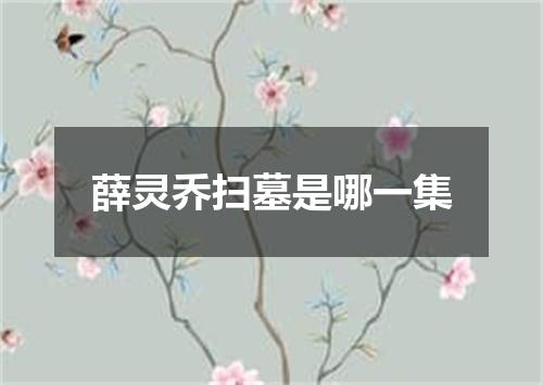 薛灵乔扫墓是哪一集