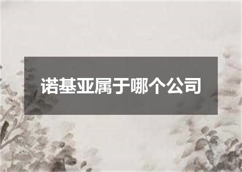 诺基亚属于哪个公司