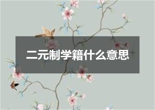 二元制学籍什么意思