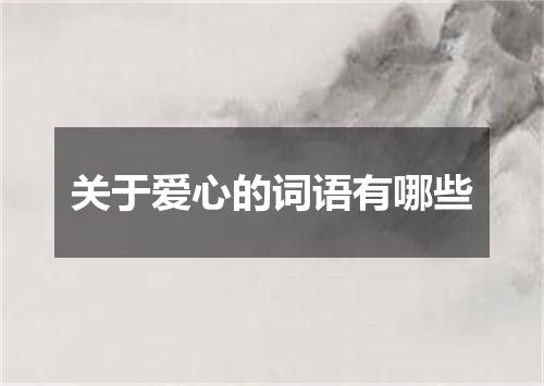 关于爱心的词语有哪些