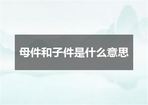 母件和子件是什么意思