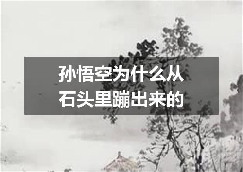 孙悟空为什么从石头里蹦出来的