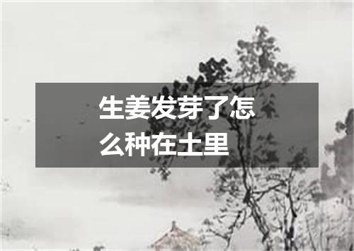 生姜发芽了怎么种在土里