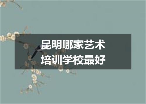 昆明哪家艺术培训学校最好