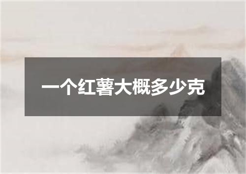 一个红薯大概多少克